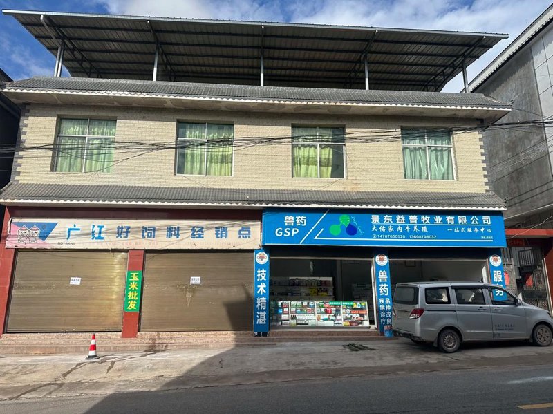 景东手机配件行业的现状和未来